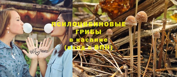 Альфа ПВП Новокубанск