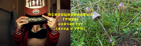 таблы Новодвинск
