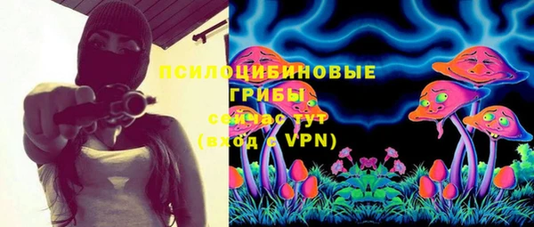 таблы Новодвинск