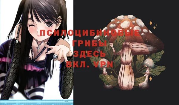таблы Новодвинск